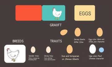 バッキーアイって何？オハイオ生まれの鼠捕り名人達