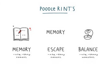歌詞で埋め尽くされたノート、思春期の叫びと家族への愚痴